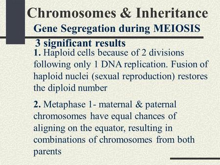 Chromosomes & Inheritance Gene Segregation during MEIOSIS 3 significant results 1. Haploid cells because of 2 divisions following only 1 DNA replication.