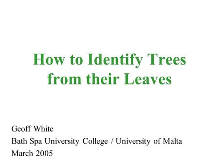 How to Identify Trees from their Leaves Geoff White Bath Spa University College / University of Malta March 2005.