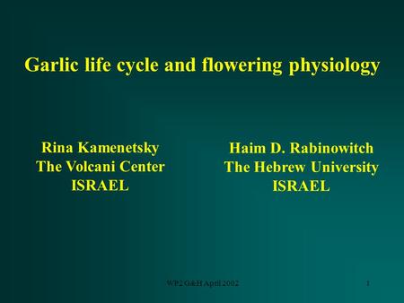 WP2 G&H April 20021 Garlic life cycle and flowering physiology Rina Kamenetsky The Volcani Center ISRAEL Haim D. Rabinowitch The Hebrew University ISRAEL.