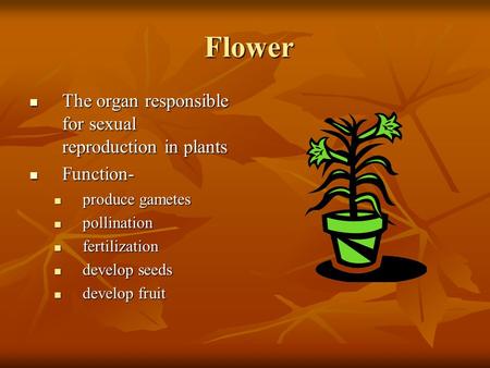 Flower The organ responsible for sexual reproduction in plants
