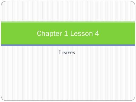 Leaves Chapter 1 Lesson 4. Words to Know Leaf- part of a plant where most of the food is made Veins- Part of the leaf that holds tubes which carry food,
