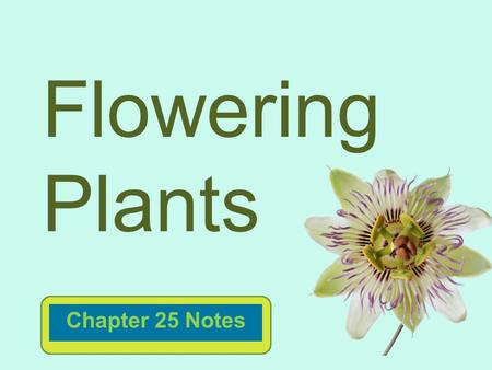 Flowering Plants Chapter 25 Notes.