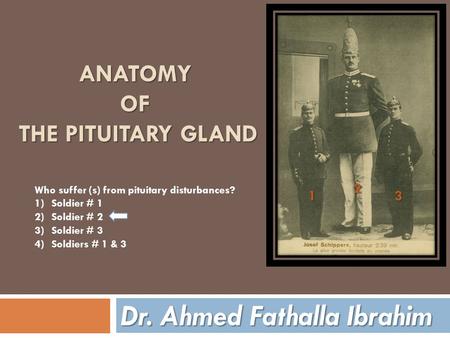 ANATOMY OF THE PITUITARY GLAND Dr. Ahmed Fathalla Ibrahim Who suffer (s) from pituitary disturbances? 1)Soldier # 1 2)Soldier # 2 3)Soldier # 3 4)Soldiers.