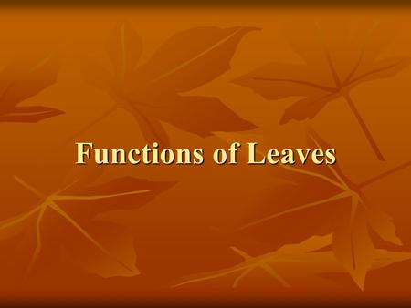 Functions of Leaves. Congratulations! You have all been selected as the new, up and coming marketing firm responsible for the new campaign slogans for.
