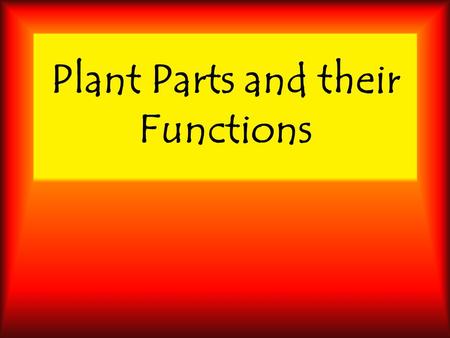 Plant Parts and their Functions. Apex Tip of leaf.