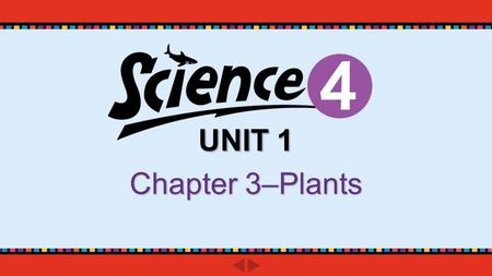 UNIT 1 Chapter 3–Plants. pp. 50-51 Do you know? What are the parts of a flower?What are the parts of a flower? Which part of the flower produces the pollen?Which.
