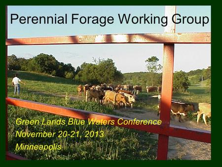 Perennial Forage Working Group Green Lands Blue Waters Conference November 20-21, 2013 Minneapolis.