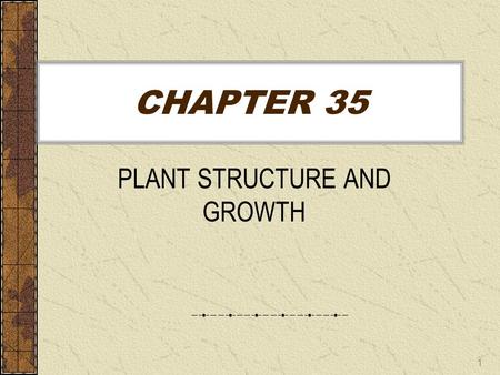 PLANT STRUCTURE AND GROWTH