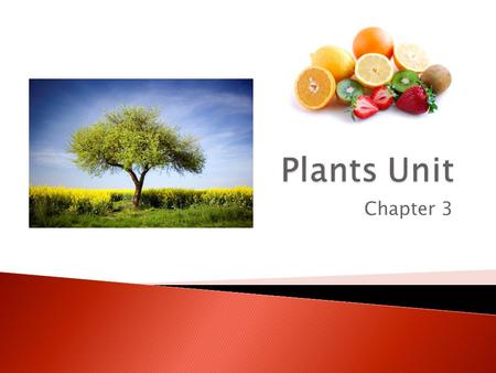Plants Unit Chapter 3.