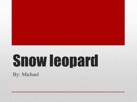 Snow leopard By: Michael. Young Otis will have offsping.