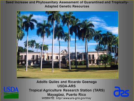 Adolfo Quiles and Ricardo Goenaga USDA-ARS Tropical Agriculture Research Station (TARS) Mayagüez, Puerto Rico WEBSITE: http//:www.ars-grin.gov/may Seed.