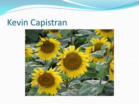 Kevin Capistran. RRV Yield Expectations Sugarbeets26 ton HRS Wheat70 bu Corn130 bu Soybeans40 bu Sunflower2000 lbs.