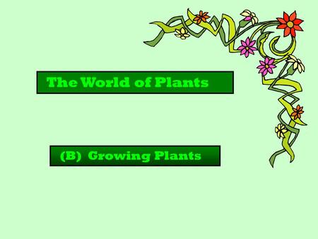 The World of Plants (B) Growing Plants.