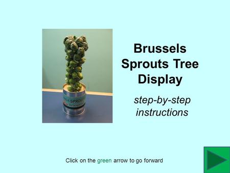 Brussels Sprouts Tree Display Click on the green arrow to go forward step-by-step instructions.