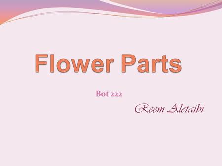 Flower Parts Bot 222 Reem Alotaibi.