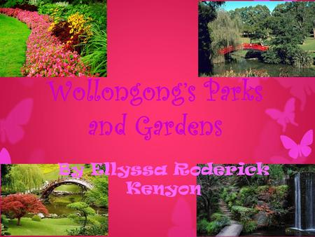 Wollongong’s Parks and Gardens By Ellyssa Roderick Kenyon.