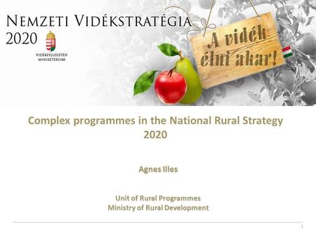 1 Complex programmes in the National Rural Strategy 2020 Agnes Illes Unit of Rural Programmes Ministry of Rural Development.