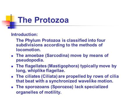 The Protozoa Introduction:
