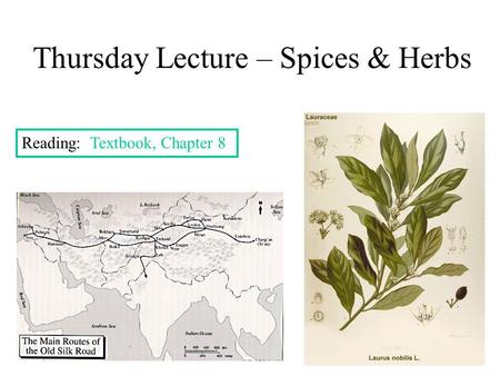 Thursday Lecture – Spices & Herbs Reading: Textbook, Chapter 8.