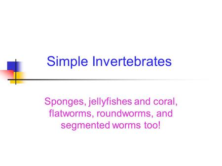 Simple Invertebrates Sponges, jellyfishes and coral, flatworms, roundworms, and segmented worms too!