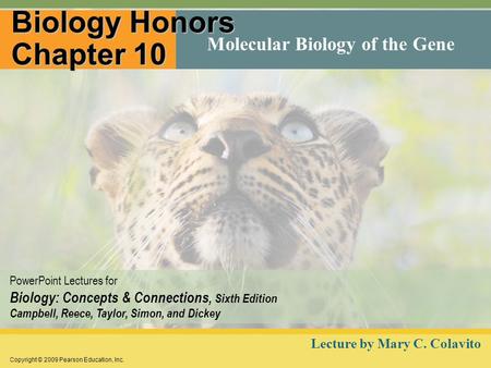 Biology Honors Chapter 10