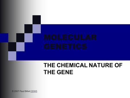 MOLECULAR GENETICS THE CHEMICAL NATURE OF THE GENE © 2007 Paul Billiet ODWSODWS.