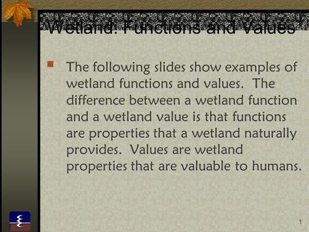Wetland: Functions and Values