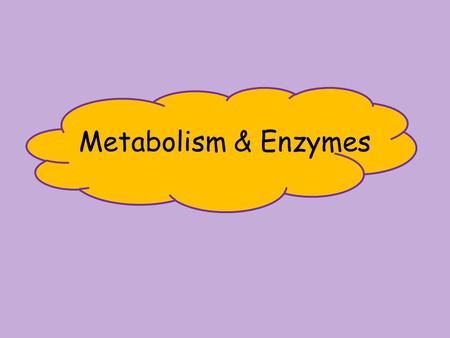 Metabolism & Enzymes.