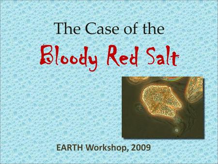 EARTH Workshop, 2009 The Case of the Bloody Red Salt.
