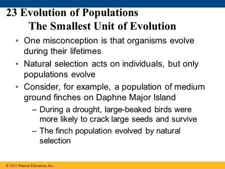 23 Evolution of Populations The Smallest Unit of Evolution