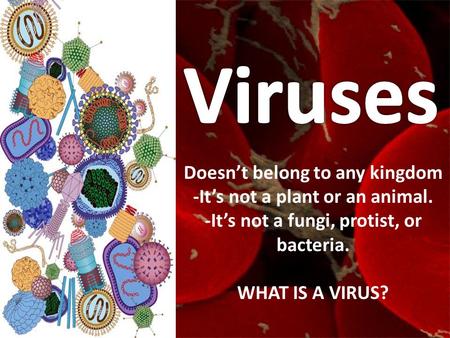 Doesn’t belong to any kingdom -It’s not a plant or an animal. -It’s not a fungi, protist, or bacteria. WHAT IS A VIRUS?