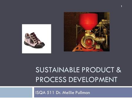SUSTAINABLE PRODUCT & PROCESS DEVELOPMENT ISQA 511 Dr. Mellie Pullman 1.