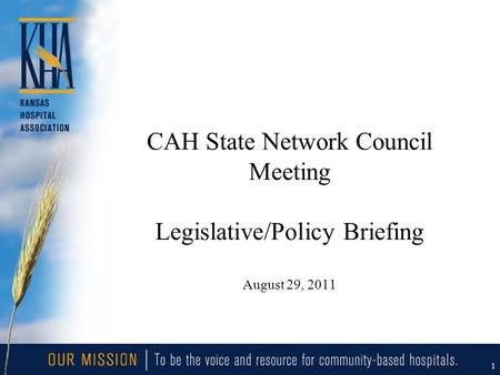 1 CAH State Network Council Meeting Legislative/Policy Briefing August 29, 2011.