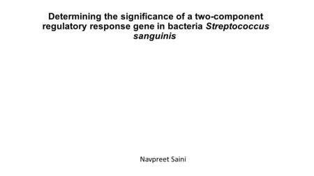 Determining the significance of a two-component regulatory response gene in bacteria Streptococcus sanguinis Navpreet Saini.