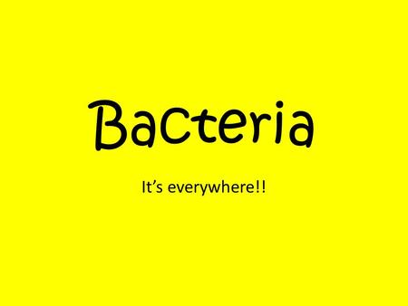 Bacteria It’s everywhere!!. What do these two things have in common? YogurtSwiss Cheese.
