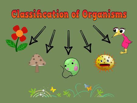 Why do we classify organisms?