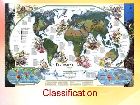 Classification. Taxonomy and Evolution Taxonomy Taxonomy – (a branch of Biology) involves the identification, naming, and classification of species To.