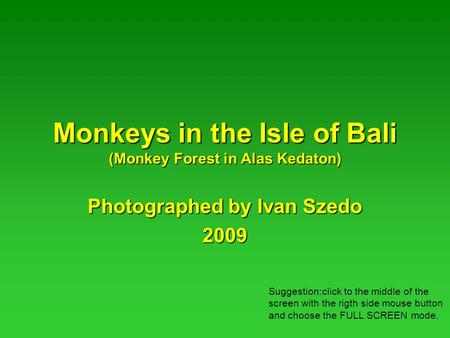Monkeys in the Isle of Bali (Monkey Forest in Alas Kedaton) Photographed by Ivan Szedo 2009 Suggestion:click to the middle of the screen with the rigth.