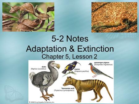 5-2 Notes Adaptation & Extinction