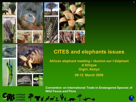 1 Convention on International Trade in Endangered Species of Wild Fauna and Flora CITES and elephants issues African elephant meeting / réunion sur l’éléphant.