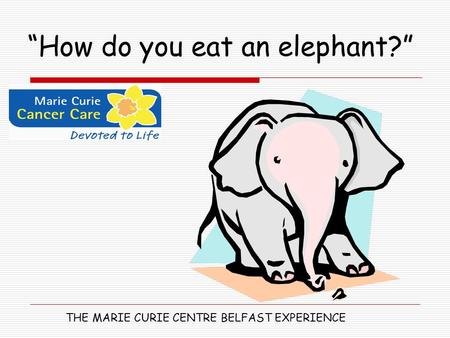 “How do you eat an elephant?” THE MARIE CURIE CENTRE BELFAST EXPERIENCE.