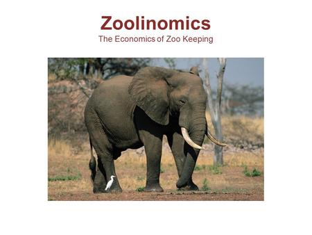 Zoolinomics The Economics of Zoo Keeping