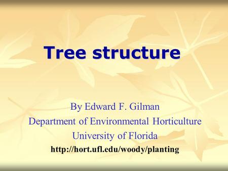 Tree structure By Edward F. Gilman Department of Environmental Horticulture University of Florida