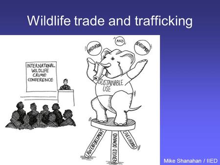 Wildlife trade and trafficking Mike Shanahan / IIED.