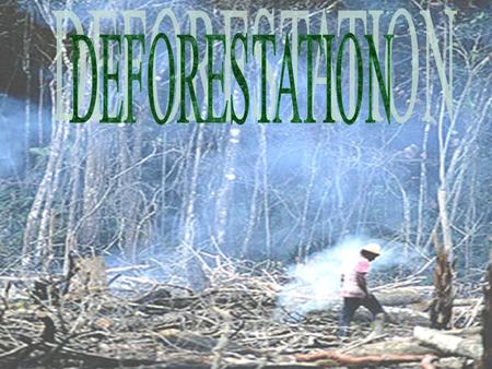 DEFORESTATION S Sa.