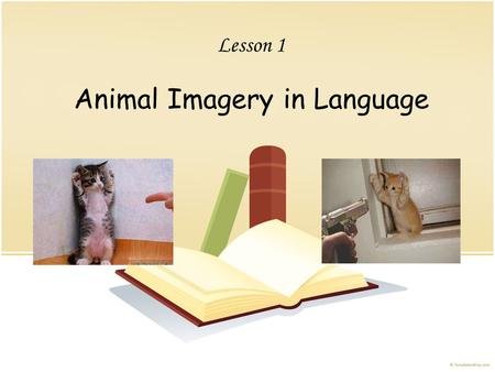 Lesson 1 Animal Imagery in Language. Organization Introduction Body 1 Body 2 Body 3 Body 4 Conclusion.