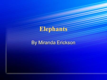 Elephants Elephants By Miranda Erickson Habitat An elephant lives in Africa An elephant lives in Africa An elephant lives in Africa.