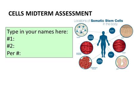 CELLS MIDTERM ASSESSMENT Type in your names here: #1: #2: Per #: