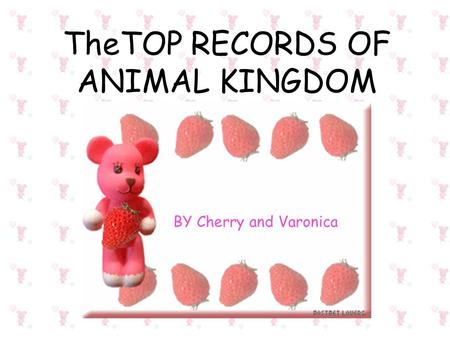 TheTOP RECORDS OF ANIMAL KINGDOM BY Cherry and Varonica.
