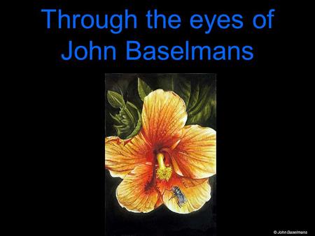 Through the eyes of John Baselmans © John Baselmans.